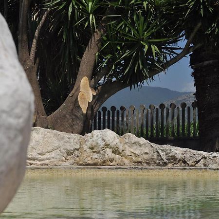B&B Levante Paestum Mattine Luaran gambar